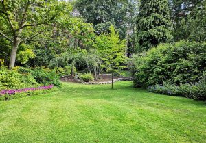 Optimiser l'expérience du jardin à Lailly-en-Val